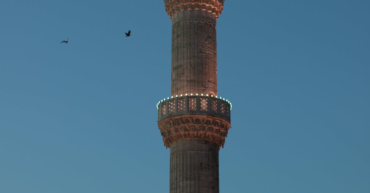 What is the fastest way to fix a leaking roof?